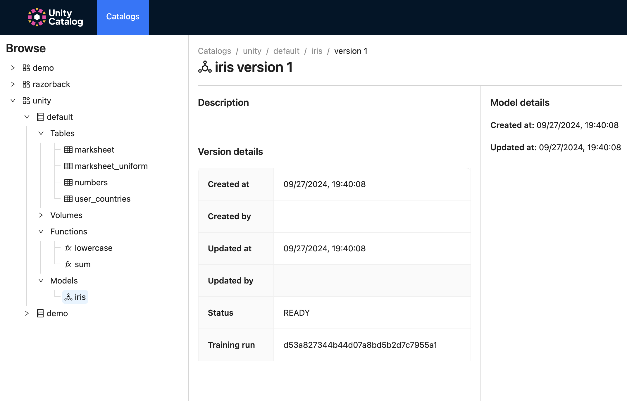 Show model Version Metadata