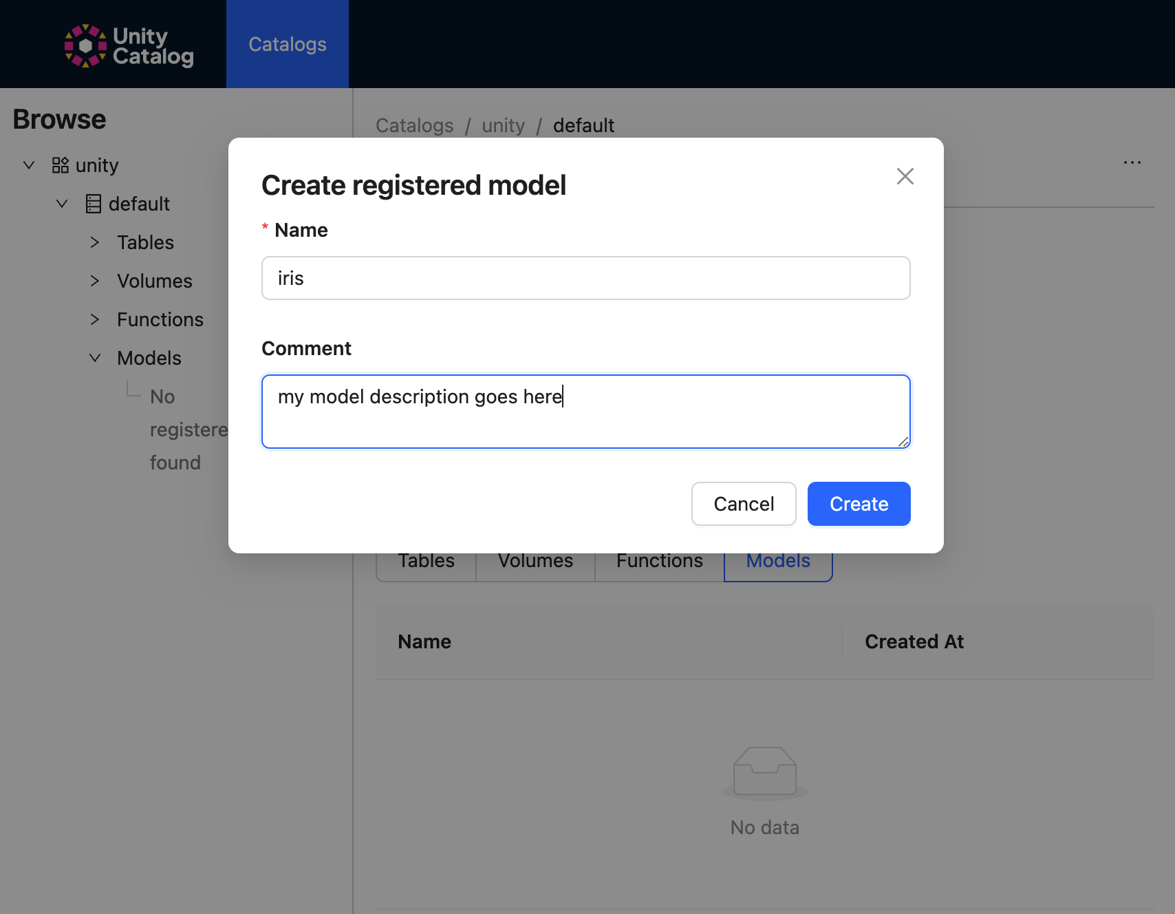 Naming the Model and Its Comments